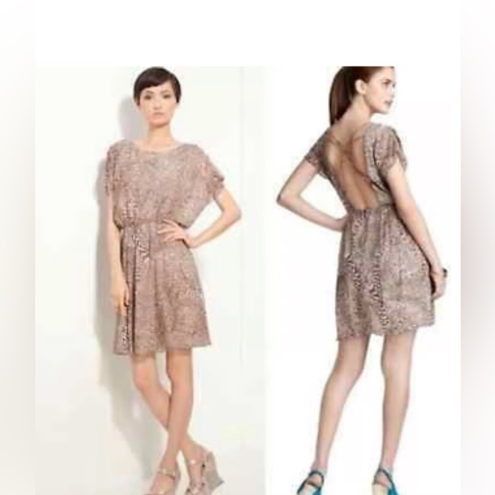 Alice + Olivia Kimber Silk Sheer Animal Print Mini Dress Large